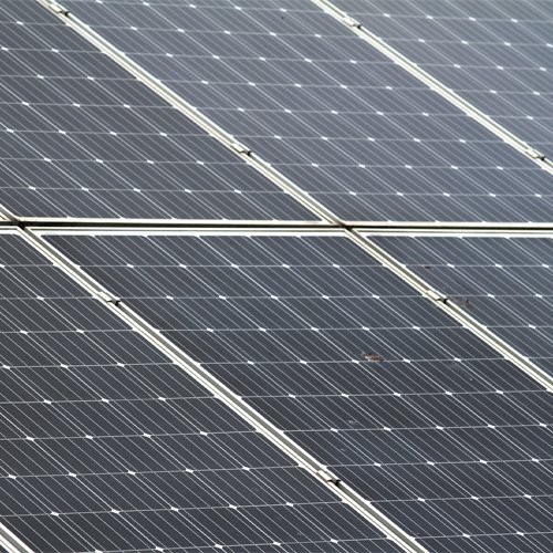 Báo động nổi cấp cao